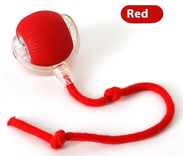 Pelota Interactiva para Gatos — USB Recargable | SelectaBall